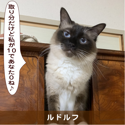 20190804_touko.jpg