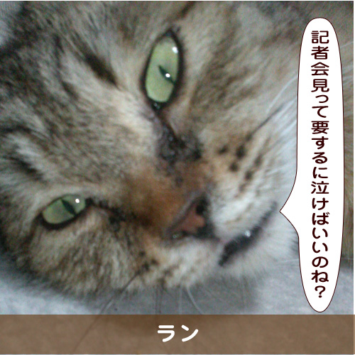 20190805_touko.jpg