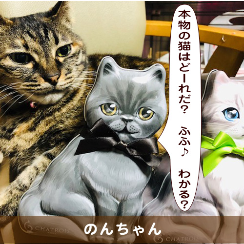 20190807_touko.jpg