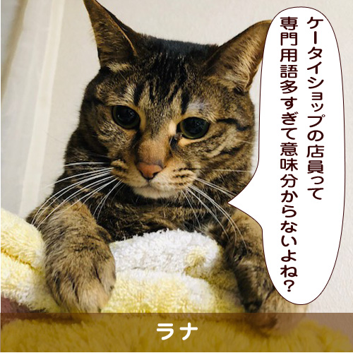 20190808_touko.jpg