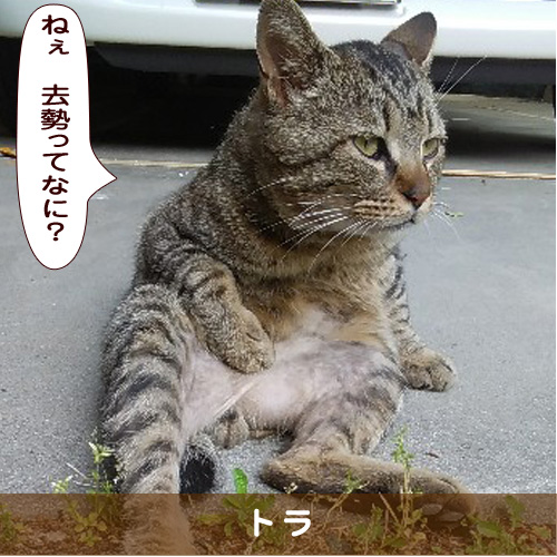 20190810_touko.jpg