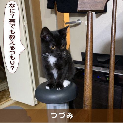 20190811_touko.jpg