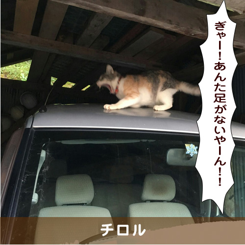 20190812_touko.jpg