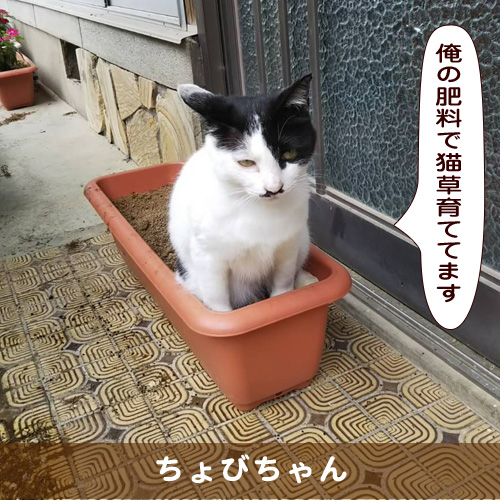 20190813_touko.jpg