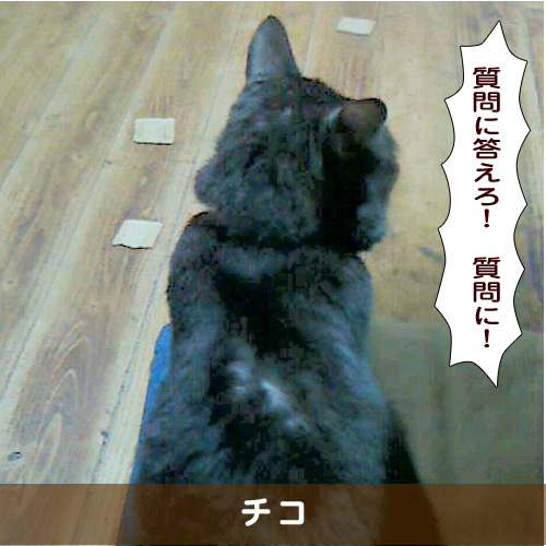 20190815_touko.jpg