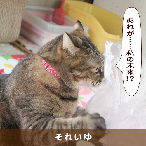 20190816_touko.jpg