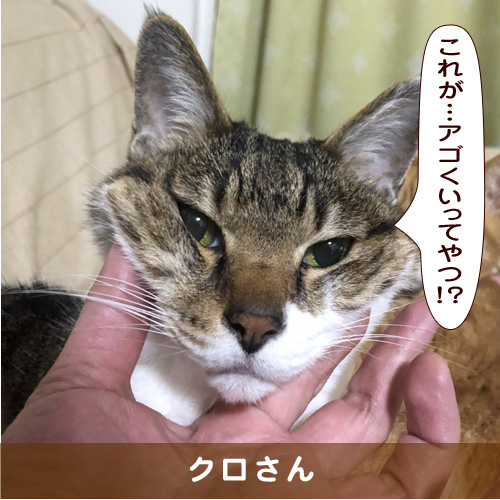 20190817_touko.jpg