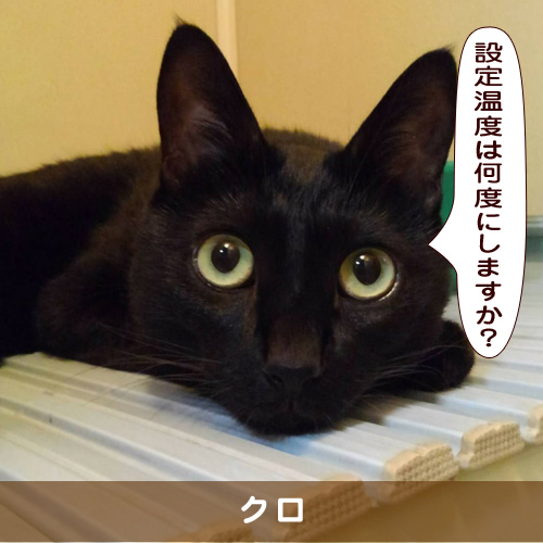 20190818_touko.jpg
