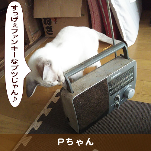 20190819_touko.jpg
