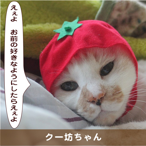 20190820_touko.jpg