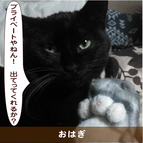 20190821_touko.jpg