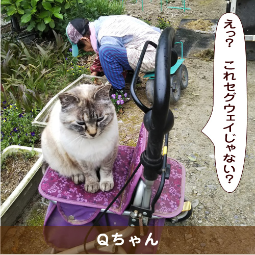 20190823_touko.jpg