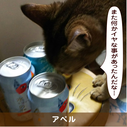20190824_touko.jpg