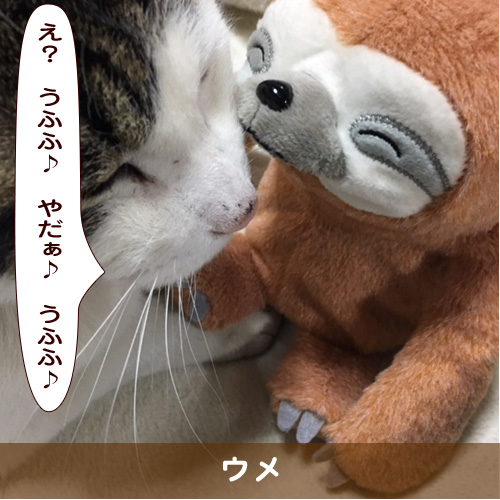 20190825_touko.jpg