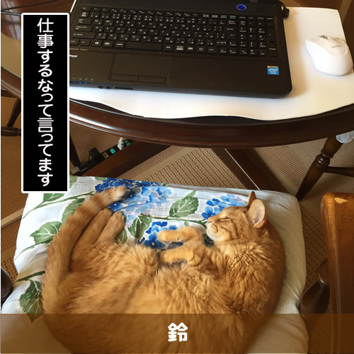 20190826_touko.jpg