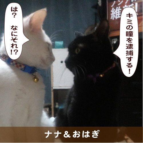 20190828_touko.jpg