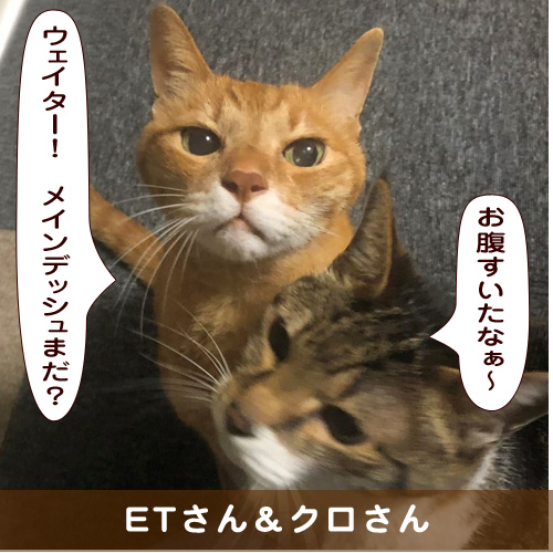 20190829_touko.jpg