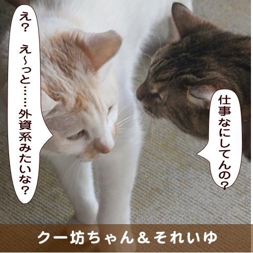 20190830_touko.jpg