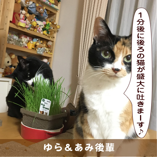 20190901_touko.jpg