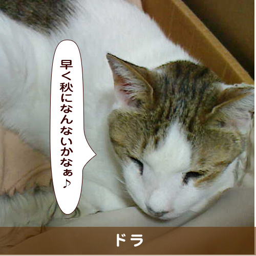20190902_touko.jpg