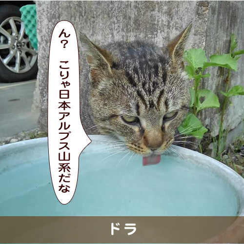 20190903_touko.jpg