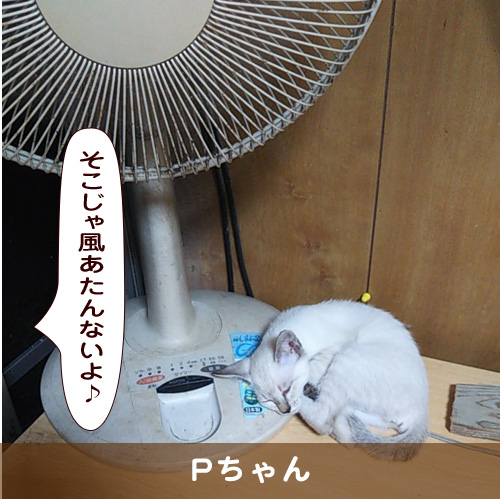 20190904_touko.jpg