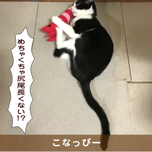 20190905_touko.jpg