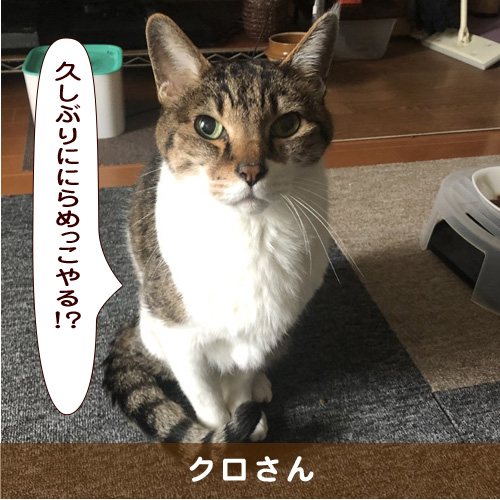 20190906_touko.jpg