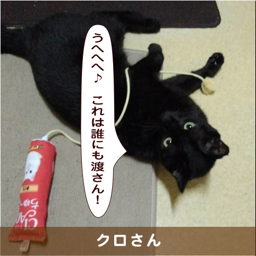 20190907_touko.jpg