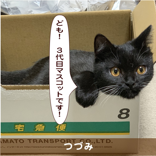 20190908_touko.jpg