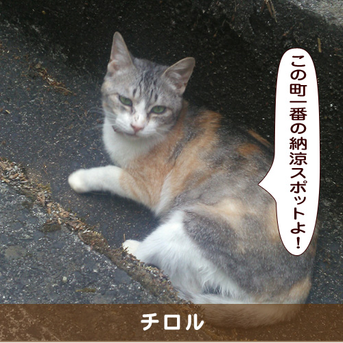 20190909_touko.jpg
