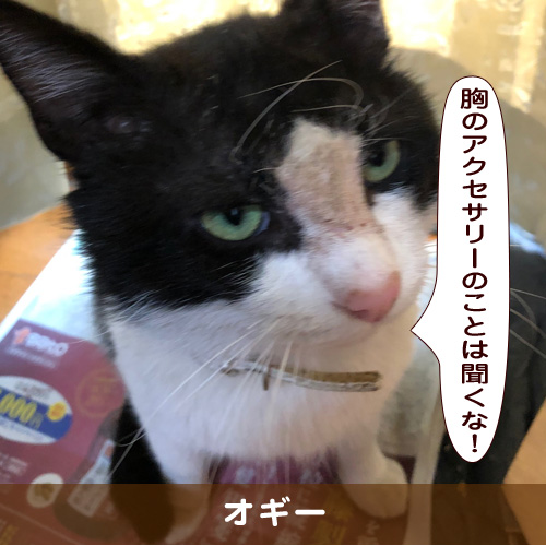 20190910_touko.jpg
