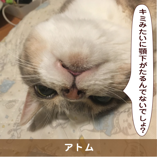 20190911_touko.jpg