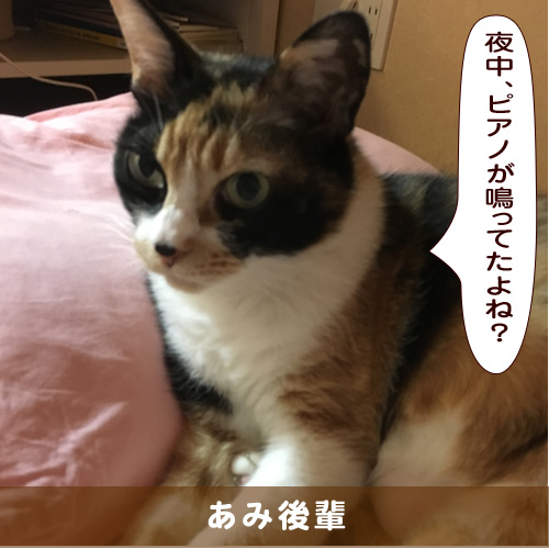 20190912_touko.jpg