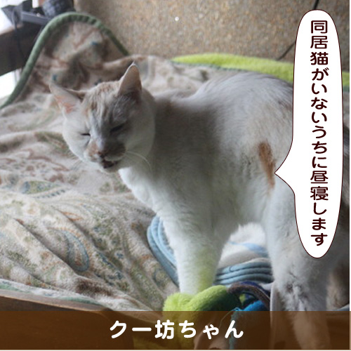 20190913_touko.jpg