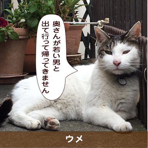 20190914_touko.jpg