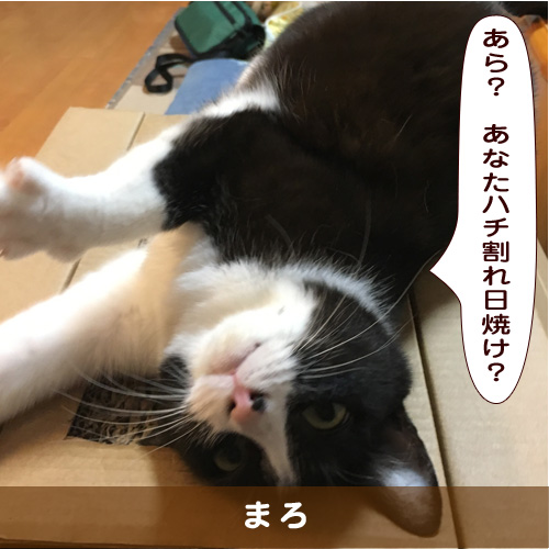 20190915_touko.jpg