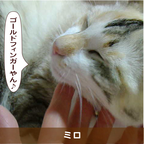 20190916_touko.jpg