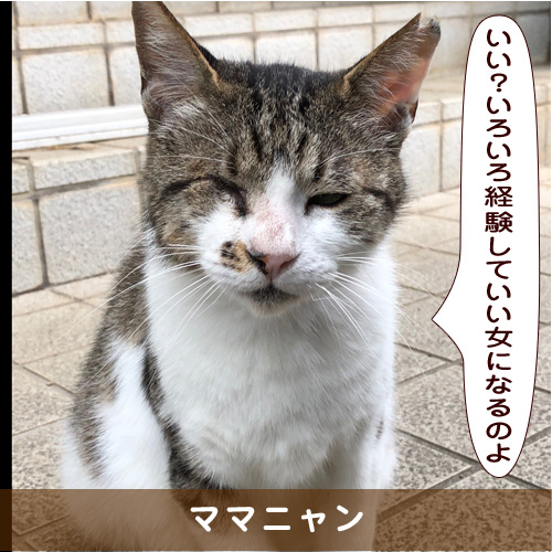 20190917_touko.jpg