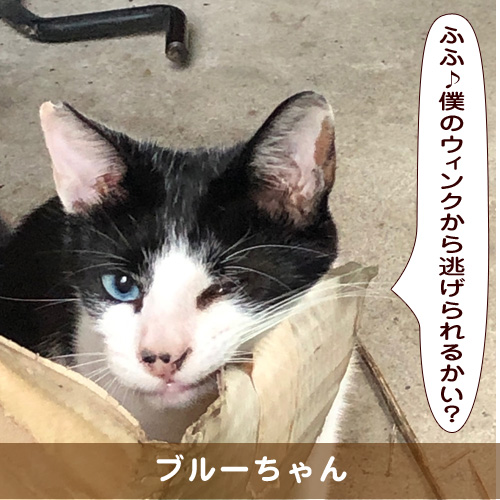 20190918_touko.jpg