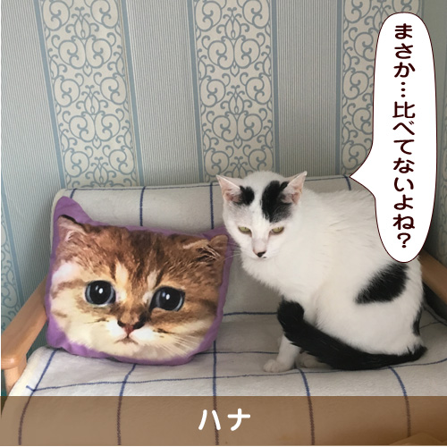 20190919_touko.jpg