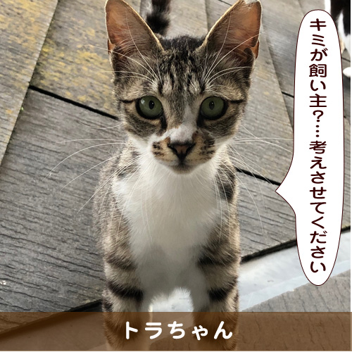 20190920_touko.jpg