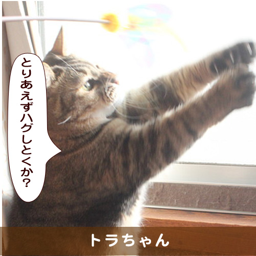 20190921_touko.jpg