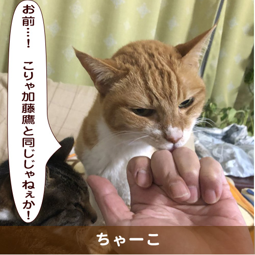 20190922_touko.jpg