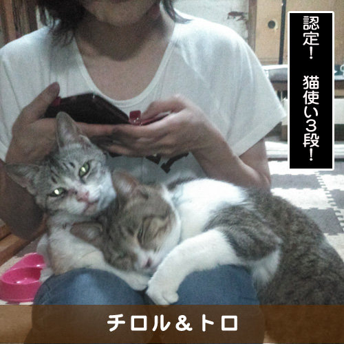 20190923_touko.jpg