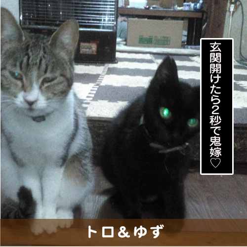 20190924_touko.jpg