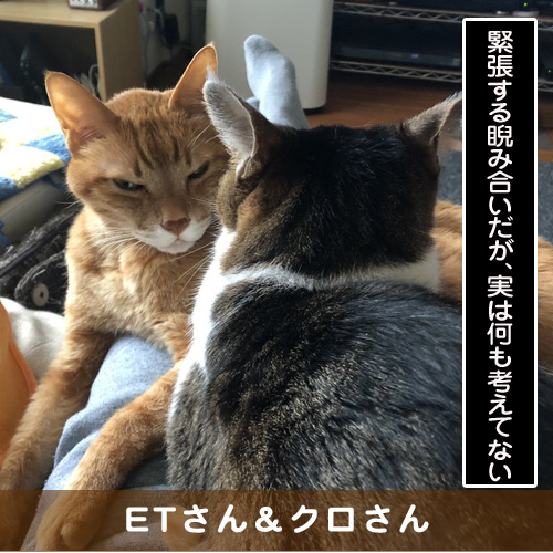 20190925_touko.jpg