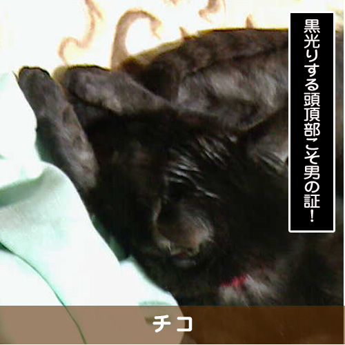 20190926_touko.jpg