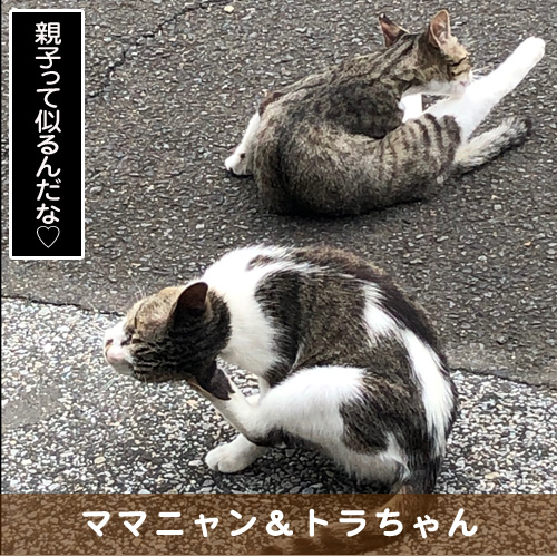 20190927_touko.jpg