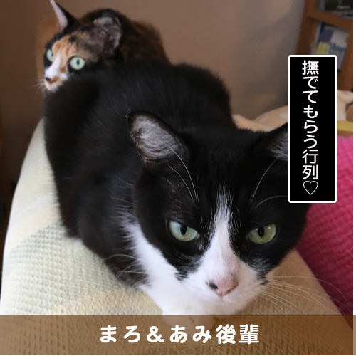 20190929_touko.jpg